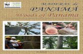 MADERAS de PANAMÁ - awsassets.panda.orgawsassets.panda.org/downloads/catalogo_maderas_de... · MADERAS de WOODS of PANAMÁ !!!!! ! CARACTERÍSTICAS DE LA MADERA Color: Las capas