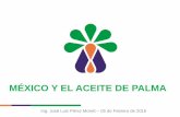 MÉXICO Y EL ACEITE DE PALMA - … y el aceite de palma (Jose Luis... · Planes de manejo (almacenes de residuos peligrosos, de residuos especiales, camas biológicas, etc). Administración