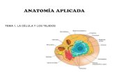 ANATOMÍA APLICADA - iessierrasur.es · La célula eucariota (Siempre serán los dibujos más atractivos que la realidad al microscopio electrónico)