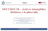SECCION 18 - Activos intangibles, distintos a la plusvaliaseverichebecerra.com/wp-content/uploads/2015/11/SECCION-18-Activ… · JAIRO ALBERTO SEVERICHE MEZA Consultor Tributario
