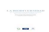 la biodiVersidad - publicaciones.caf.compublicaciones.caf.com/media/1238/89.pdf · y regulatoria y reformas legales propuestas Introducción ... Bases para el plan de promoción de