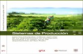 Sistemas de Producciónbivica.org/upload/sistemas-produccion-cultivos.pdf · SISTEMAS DE PRODUCCIÓN INDICE 1. ... 14.8 Control de plagas y enfermedades .....109 14.9 Fertilización