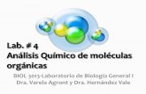 Análisis Químico de moléculas orgánicas · Objetivos Mencionar algunas de las biomoléculas más importantes para los organismos Definir el término grupo funcional y reconocer