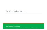 TEMA 14 La herencia geneticabiologiageneralbio149.weebly.com/uploads/2/5/0/0/25007599/modulo_3... · Mendel tomó plantas procedentes de las semillas de la primera generación (F1)