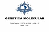 GENÉTICA MOLECULAR - … · implícito la formación de copias del ADN del progenitor o progenitores. ... empaquetamiento Proteínas Histónicas No Histónicas Eucariotas Procariotas