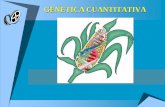 GENETICA CUANTITATIVA - agro.unc.edu.aragro.unc.edu.ar/~mejogeve/CuantitativaTP.pdf · Objetivos Comprender los ... Estimar los efectos relativos del genotipo y del ambiente y ...