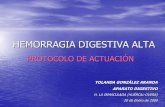 HEMORRAGIA DIGESTIVA ALTA - Junta de Andalucía · HEMORRAGIA DIGESTIVA ALTA Bibliografía: • Feu F, Bullet E, Calvet X, et al.Recomendaciones para el diagnóstico y el tratamiento