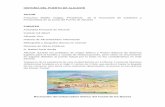 HISTORIA DEL PUERTO DE ALICANTE AUTOR …asociacionjubiladospuertoalicante.es/wp-content/uploads/2017/04/... · Alicante durante los poblados de origen ibérico y fenicio dispuso