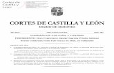 COMISIÓN DE CULTURA Y TURISMO PRESIDENTE: …sirdoc.ccyl.es/SIRDOC/PDF/PUBLOFI/DS/COM/7L/DSCOM7L00481A.pdf · permitirá que en la ciudad de Palencia, además de la concentración