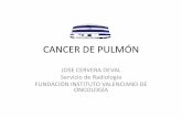 CANCER DE PULMÓN - Universitat de València · – INCREMENTO PROGRESIVO A PARTIR DE 35 AÑOS. – MAYOR INCIDENCIA 50 -80 AÑOS. PULMÓN. Los pulmones son los ORGANOS DE LA ...