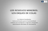LOS RESIDUOS MINEROS: LOS DIQUES DE COLASlaultimaresistencia.weebly.com/uploads/6/8/2/7/6827657/diques_de... · LOS RESIDUOS MINEROS: LOS DIQUES DE COLAS Lic. Roberto Sarudiansky