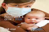 Organización Panamericana de la Salud GRIPE - … · ca y gripe estacional causarán en los próximos años es incierto, igual que cualquier temporada de gripe, algunas personas