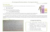 Compartimentos Corporales - medicina-ucr.commedicina-ucr.com/quinto/wp-content/uploads/2015/02/1... · Es por esto que se describe tonicidad como: 2[Na+]. ... se encuentra alterada