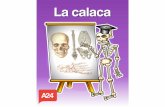 La calaca PDF - ibooks.aula24horas.comibooks.aula24horas.com/downloads/90/pdf/Lacalaca.pdf · CAPÍTULO 1 Sistema óseo El sistema óseo es el conjunto de elementos que tienen la