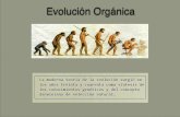 Evolución Orgánica - zoologiageneral.com.ar · reproducirse y de dejar descendencia con estas ventajas.!!23. Impacto de la Teoría al ser publicada
