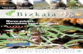 Marea-putzuak, ekosistema baten miniaturak - Bizkaia 21 · este programa, un total de 30 presentaron sus proyectos, lo que demuestra el éxito de la iniciativa. Bizkaiko Foru Diputación