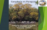Ganadería en Paraguay - …static.contextoganadero.com.s3.amazonaws.com/Publicaciones/... · de Uruguay y Argentina ... bovina en manos de capitales ... La importancia de la ganadería