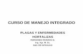 CURSO DE MANEJO INTEGRADO - …s7e22ce2a65482340.jimcontent.com/download/version/1330189375/... · PUDRICION GRIS TIZON DE LA FLOR Botrytis cinerea ... • IV Región Alta incidencia