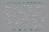 Mamíferos Terrestres - Provincia de Santa Cruz · 3 Consolidación e Implementación del Plan de Manejo Integrado de la Zona Costera Patagónica para la Conservación de la Biodiversidad