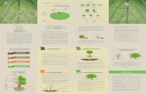 PALETA VEGETAL info - leon.gob.mxleon.gob.mx/.../pdf/PALETA-VEGETAL_info.pdf · VEGETAL La Paleta Vegetal es una herramienta que tiene como objetivo marcar una política oﬁcial