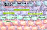 CLASIFICACION DE LAS FIBRAS - …ecaths1.s3.amazonaws.com/materiales2/701243189.Textiles clase 2.pdf · CLASIFICACION DE LAS FIBRAS . HILADO . HILADO Proceso final en la transformación