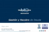 Gestión y Recobro de Deuda - medinacuadros.es Presentación MC RECOBRO D… · disminución de sus riesgos en el ámbito jurídico, ... negocio Medina Cuadros ... españoles y mexicanos