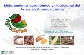 Mejoramiento agronómico y nutricional del Arroz en …lac.harvestplus.org/.../Mejoramiento-de-arroz_Gobernacion-Narino.pdf · • El arroz es la principal fuente de proteína y calorías