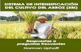 Sistema de Intensificatión del Cultivo del Arroz (SRI)sri.ciifad.cornell.edu/spanish/IICA_SRI_Preguntas_Frecuentesz... · rendimiento del cultivo del arroz, así como el de otros