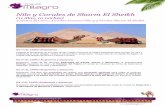 07-Nilo y Corales de Sharm El Sheikh - Travel Milagrotravelmilagro.com/pdf/programas/07-nilo-y-corales-de-sharm-el... · •Templo de Karnak • Templo de Luxor • Valle de los Reyes