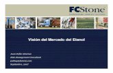 Visión del Mercado del Etanol - porcimex.org · • El alcohol hidratado tiene un menor impuesto que el de la gasolina, ... • Consolidación de las iniciativas en los próximos