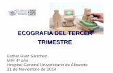 ECOGRAFIA DEL TERCER TRIMESTRE - chospab.es · Esther Ruiz Sánchez MIR 4º año Hospital General Universitario de Albacete 21 de Noviembre de 2014. Ultrasound in Pregnancy. Tiempo