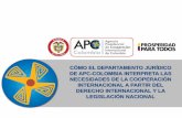 CÓMO EL DEPARTAMENTO JURÍDICO DE APC …tcdc2.undp.org/GSSDacademy/video/pdf/Columbia Javier _j(spanish).pdf · cÓmo el departamento jurÍdico de apc-colombia interpreta las necesidades