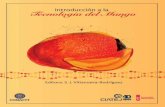 Primera Edición, 2016 - ciatej.mx · exportación de mango a nivel mundial, la cadena productiva de mango enfrenta dificultades para el aprovechamiento adecuado del fruto en los