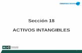 Sección 18 ACTIVOS INTANGIBLES - megasistemas.commegasistemas.com/wp/wordpress/wp-content/uploads/2016/09/4... · minerales, gas, petróleo y recursos no renovables ... Si es separable