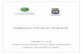 Diagnóstico Comuna de Panguipulli · Diagnóstico Comuna de Panguipulli Agenda 21 Local Programa Eco-Región de Los Lagos Sustentable Valdivia, Noviembre de 2004.