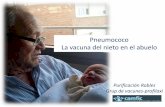 Pneumococo La vacuna del nieto en el abuelomanager.formulari.cat/uploads/items/ITEM_832_EBLOG_2007.pdf · Diapositiva cedida por Cristina Méndez PhD Responsable Médico Área de