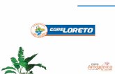 Loreto - proinversion.gob.pe PPT Proyectos... · PUTUMAYO 2,820,016.54 (ha) ACR17 Maijuna Kichwa ACR 09 Ampiyacu Apayacu ACR 10 Alto Nanay-Pintuyacu-Chambira ACR 04 ... Carretera