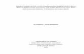 PRODUCTIVIDAD DE LOS CUYES (Cavia porcellus) …sired.udenar.edu.co/2923/1/89538.pdf · 1 PRODUCTIVIDAD DE LOS CUYES (Cavia porcellus) ALIMENTADOS CON LA MEZCLA MARALFALFA (Pennisetum