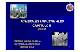 Cap 5 Minerales Industriales - docsiga.unap.cldocsiga.unap.cl/contenidos/IN627/21618/sesion9/cap_5_minerales... · lixiviante Sistema dinámico ... Sistemas de riego y carpetas Bateas,