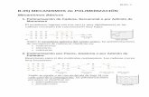 B.05) MECANISMOS de POLIMERIZACIÓN - Argentina · B.05. 2 Primera Parte: Obtención de Polímeros Lineales 1.a) Principales Mecanismos Mínimos de Polimerización Las siguientes