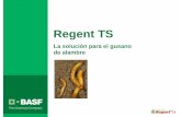 Marketing Plan 2005 - BASF Crop Protection España · yFipronil es un insecticida de amplio espectro perteneciente a la familia de los Fenil pirazoles, descubierto y desarrollado