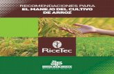 RECOMENDACIONES PARA EL MANEJO DEL CULTIVO DE ARROZsemillasvalle.com/site/archivos/semillas/arroz/Manual RiceTec... · RiceTec, empresa líder en producción y comercialización de