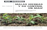 MALAS HIERB Y SU CONTR - mapama.gob.es · a una evolución de los problemas de la escarda. En el maíz, la utilización casi exclusiva, desde principio de los años 60, de herbicidas
