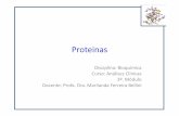 Proteinas - marilandabellini.files.wordpress.com · • VR: 3,5 a 5,5g/dl – Eletroforese – Fracionamento salino. Albumina ... durante os processos inflamatórios e diminuída