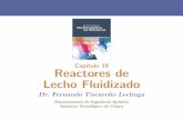 Cap´ıtulo 10 Reactores de Lecho Fluidizado - …iqcelaya.itc.mx/~fernando/ABC_Reactores/Presentaciones/ABC_React... · Cap´ıtulo 10 Reactores de Lecho Fluidizado Dr. Fernando