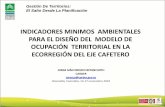 INDICADORES MINIMOS AMBIENTALES PARA EL …media.utp.edu.co/ciebreg/archivos/taller-internacional-gestion-de... · Identificación de riesgos, amenaza y vulnerabilidad. Colombia Visión