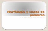 Morfología y clases de palabras - lalenguafuera.hol.es · ANÁLISIS MORFOLÓGICO Y CLASES DE PALABRAS Variables: -sustantivo -adjetivo -pronombre determinativo -verbo Invariables: