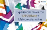 Experiencias reales con SAP Acvate y Metodologías …asug.mx/wp-content/uploads/2017/12/TecnicoExperienciasrealesconSA… · Metodología SAP ACTIVATE ... Entregables Generales •