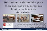 Herramientas disponibles para el diagnóstico de ... · ·Cultivo microbiológico: tuberculosis y paratuberculosis. ·Identificación de complejo Mycobacterium tuberculosis y M. avium