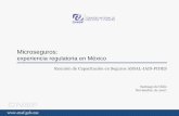 Presentación CNSF Convención AMIS 2007 · Microseguros: experiencia regulatoria en México Reunión de Capacitación en Seguros ASSAL-IAIS-FIDES Santiago de Chile Noviembre 16,